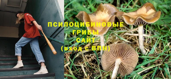 стафф Майский
