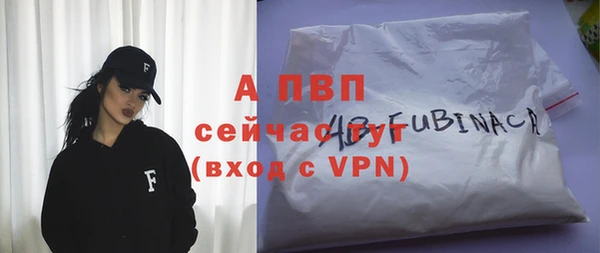 стафф Майский