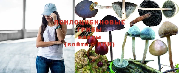 амфетамин Липки