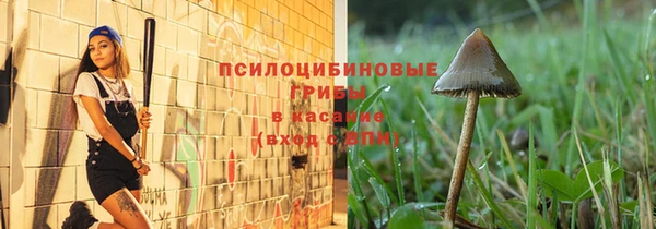 дурь Магас