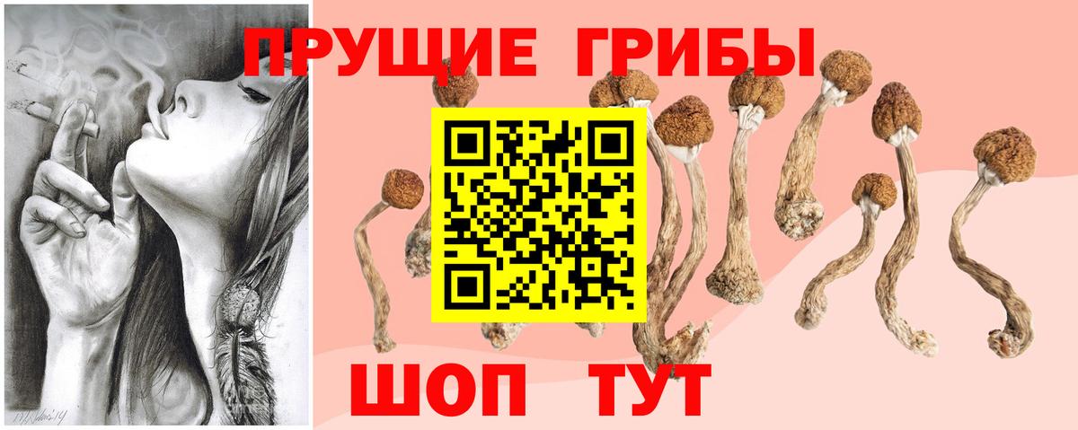 Псилоцибиновые грибы Psilocybine cubensis  Галлюциногенные грибы мицелий  Усинск  Вход с VPN 